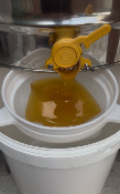 IMPACT APICULTURE