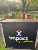 IMPACT APICULTURE